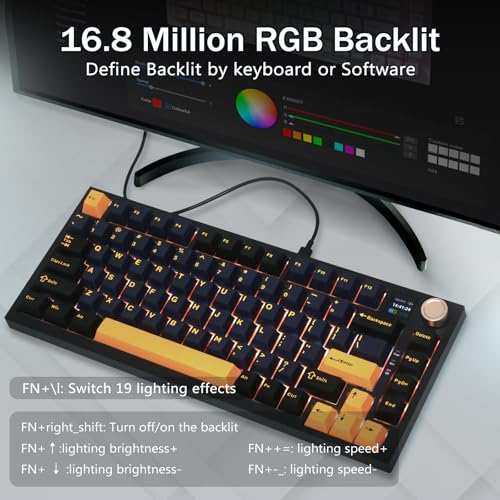 HUO JI Wireless Gaming Mechanical Keyboard with RGB Backlit
